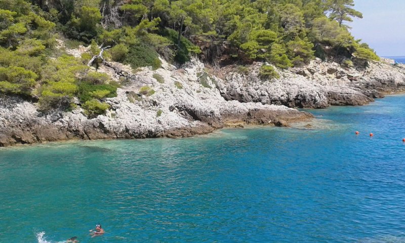 Focacceria Pugliese