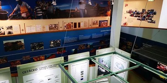 Museu do Mar e da Terra da Carrapateira