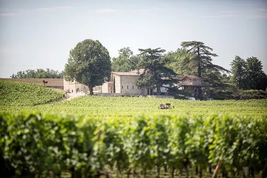 Chateau Franc Mayne