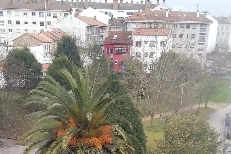 Nice and Modern Apartment in Santiago de Compostela