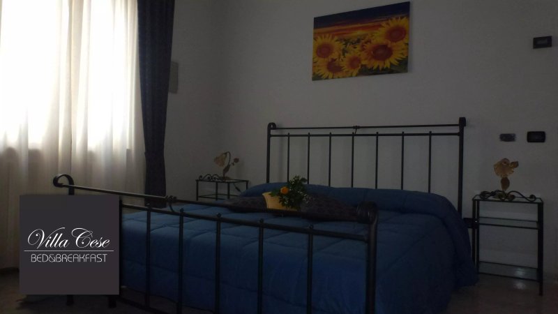 B&B Villa Cese