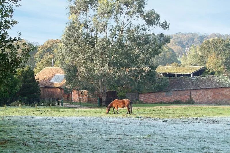 In an idyllic location in the New Forest National Park, with miles of footpaths