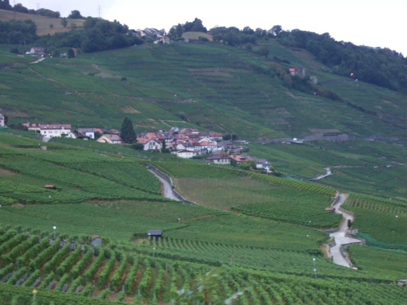 Le Vigny