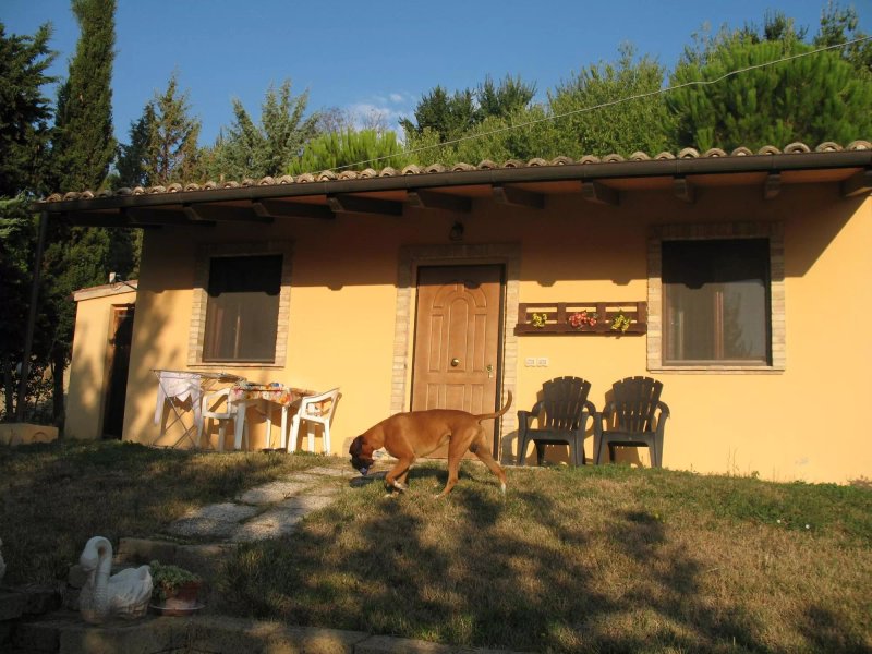 Il Podere del Nonno