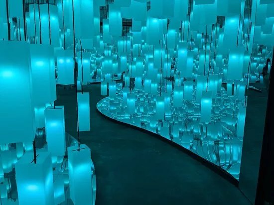 Delight: Media Art Exhibition