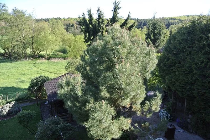 Apartment in a quiet location on the flowing water of the Theel