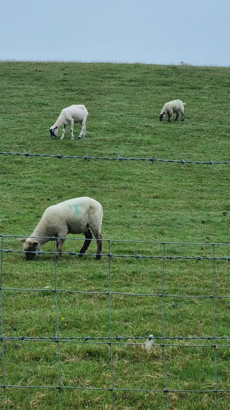 Upper Parsonage Farm