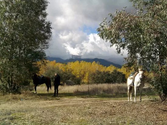 Gredos Ecuestre