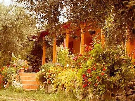 The Olive Farm - sea views- set in 400 olive trees