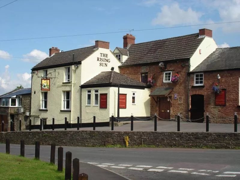 The Rising Sun Bream