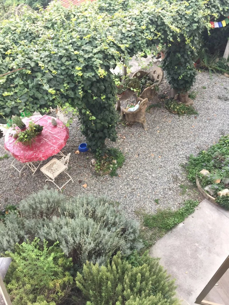 Il Giardino dei Semplici