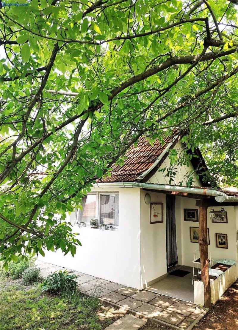 KulturElet Vendeghaza