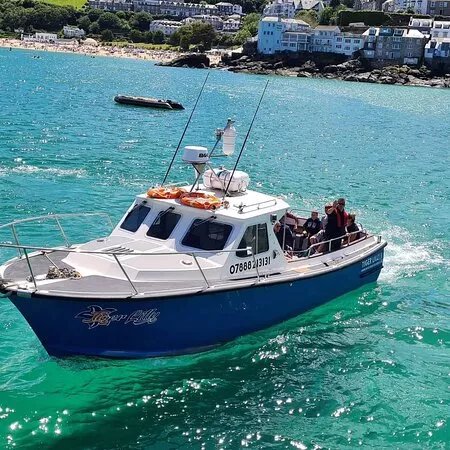 Tiger Lilly Boat Trips St Ives