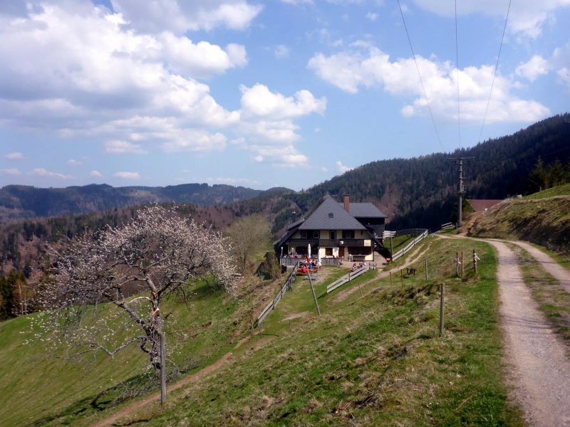 Hofener Hutte