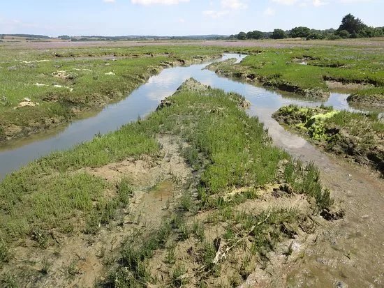Newtown National Nature Reserve