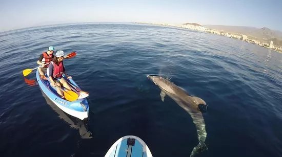 Kayak Academy Tenerife