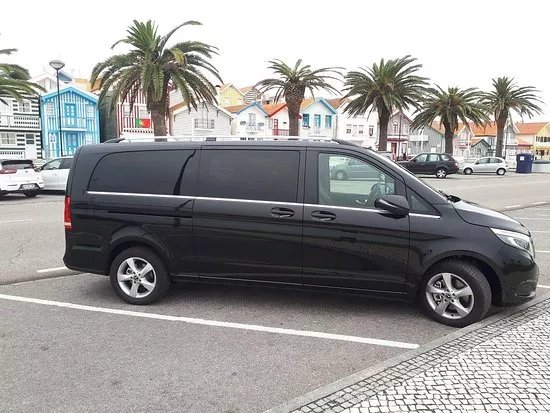 3Ts - Transfers & Touristic Tours