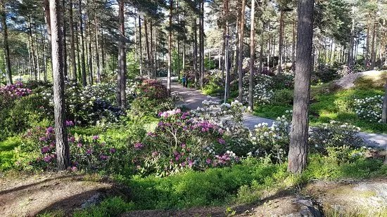 Alppiruusupuisto