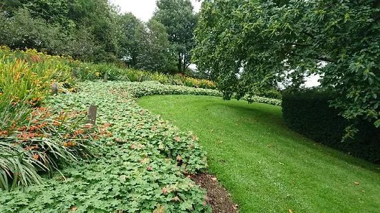 Cae Hir Gardens