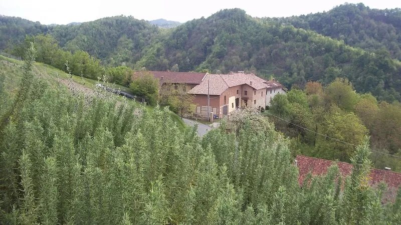 Immersed in the green relaxation of an authentic farmhouse and convenient to