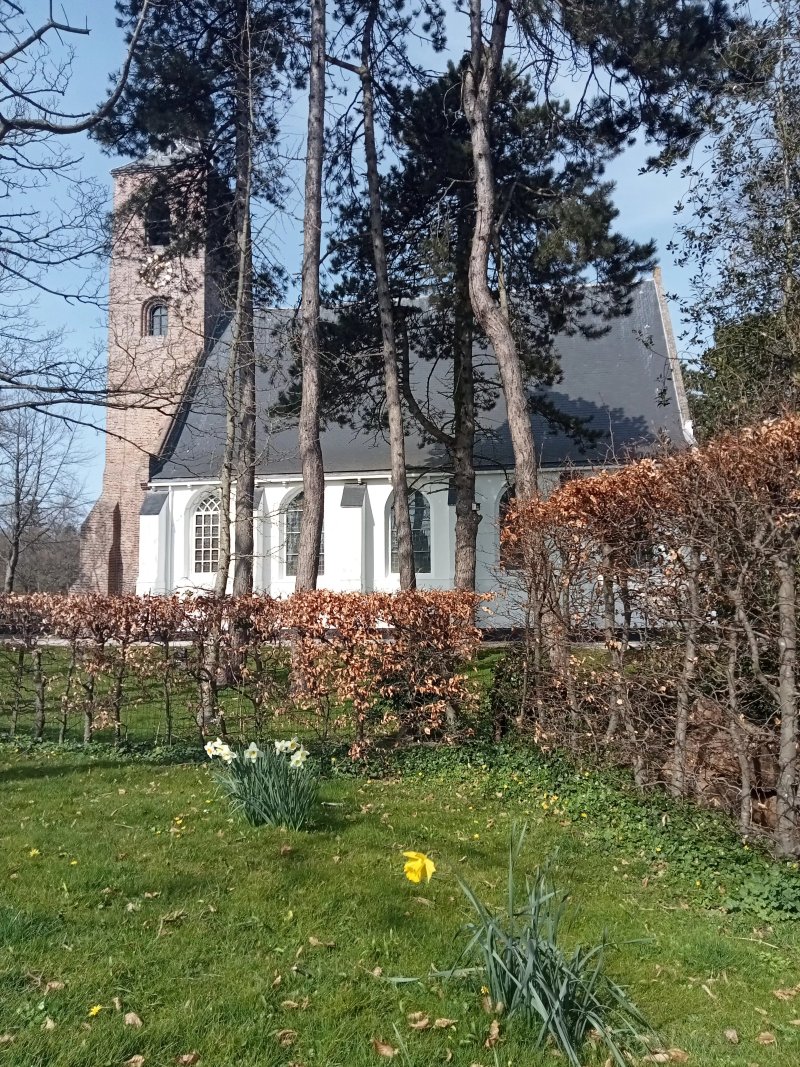 Dorpskerk