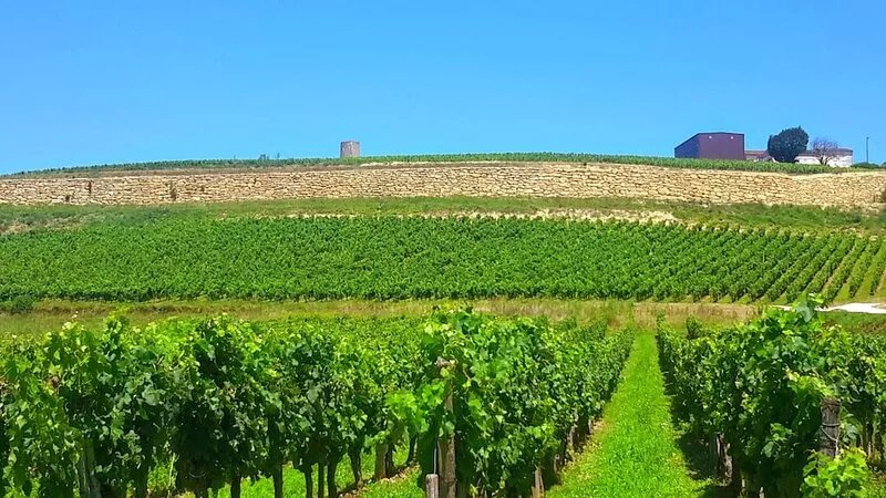Holiday home at the foot of the vines