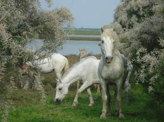 Museo NatuRa