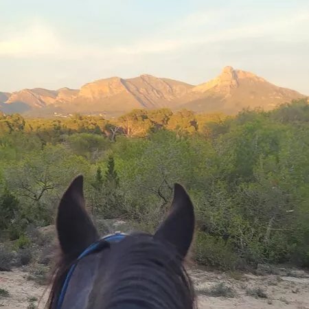 Jay's Horses Rancho Alegria