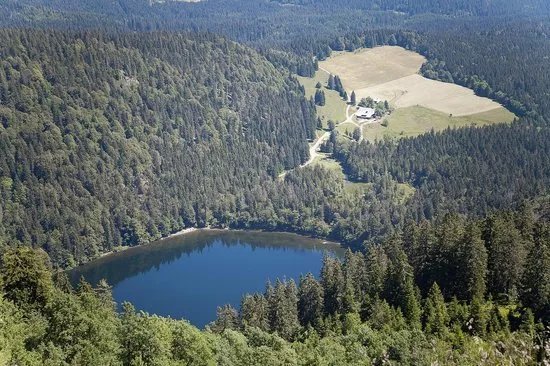 Feldberg