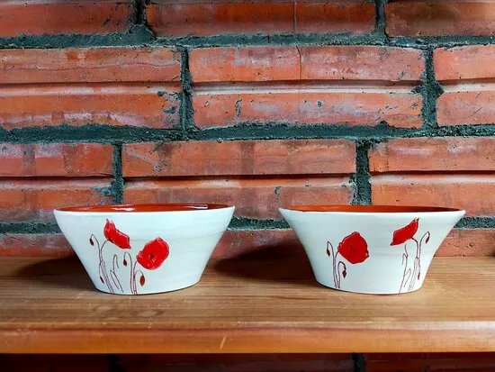 Escola de Ceramica de Breda, Can Suri