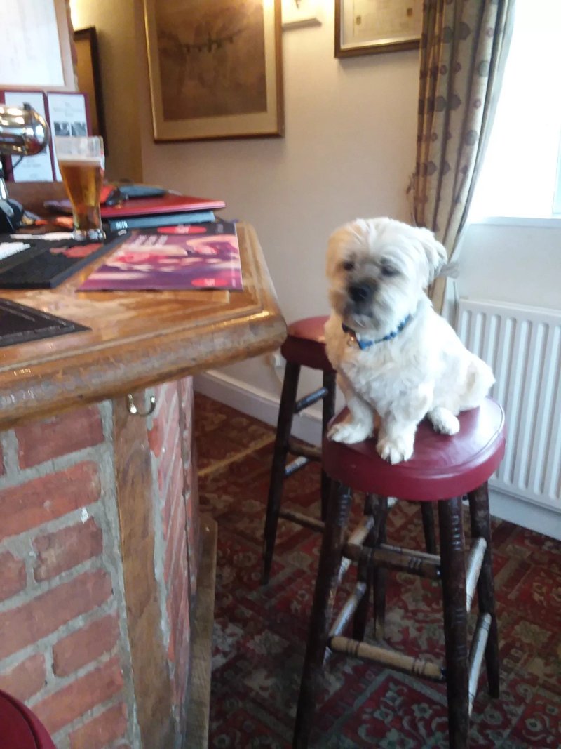 The Stukeley Country Hotel Restaurant