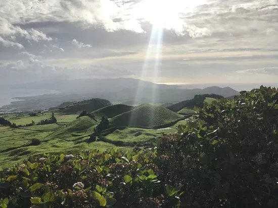 Green Visions Tours