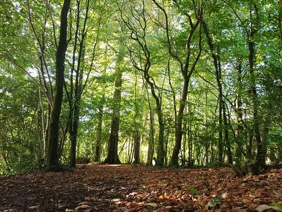 Parc Yr Esgob - The Bishop's Park