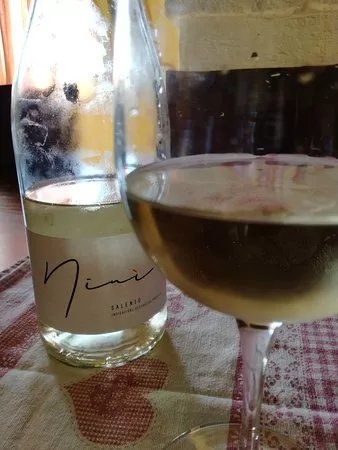 Azienda Vinicola Palama