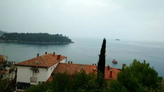 Rovinj Aquarium (Ruder Boskovic Institute)
