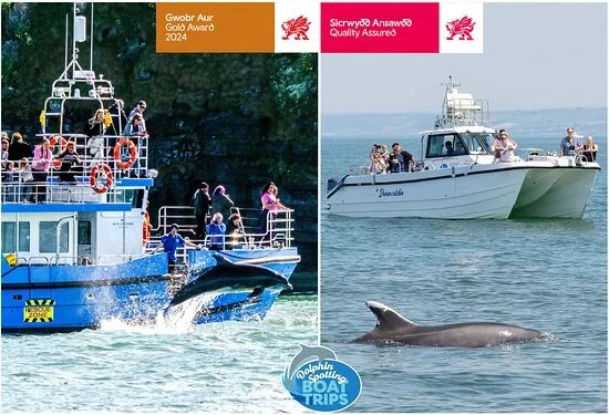 Dolphin Spotting Boat Trips (by New Quay Boat Trips)
