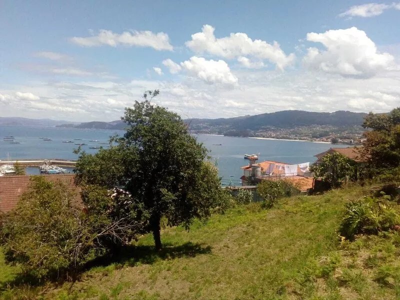 Spacious house near the beach with views of the estuary