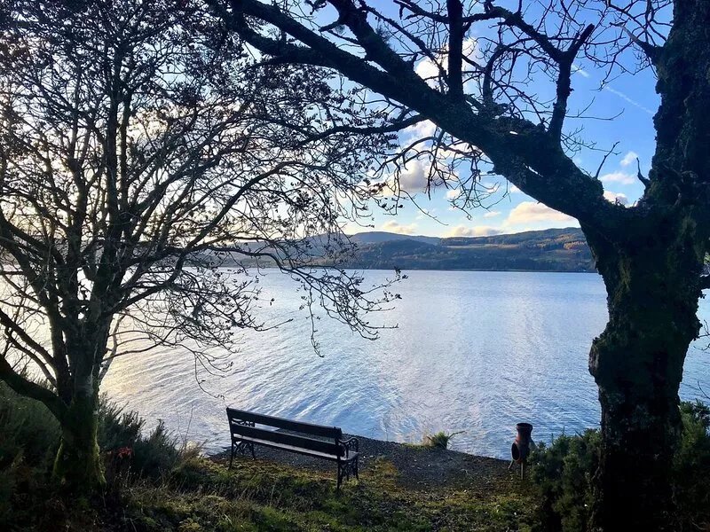Darroch Beag Cottage, private shore front location, pet friendly, very quiet.