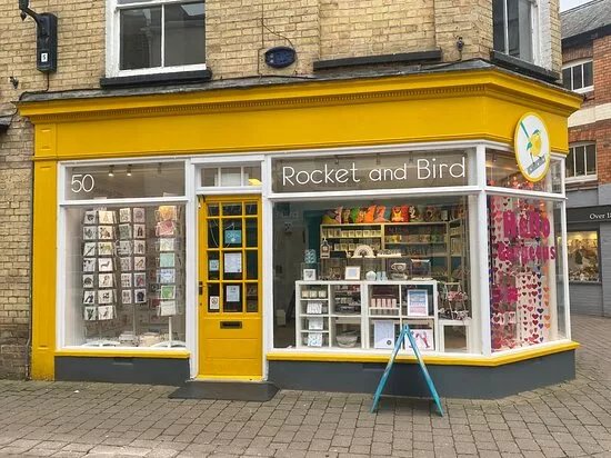 Rocket and Bird