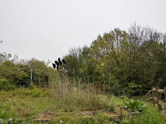 Gillespie Park Nature Reserve and Islington Ecology