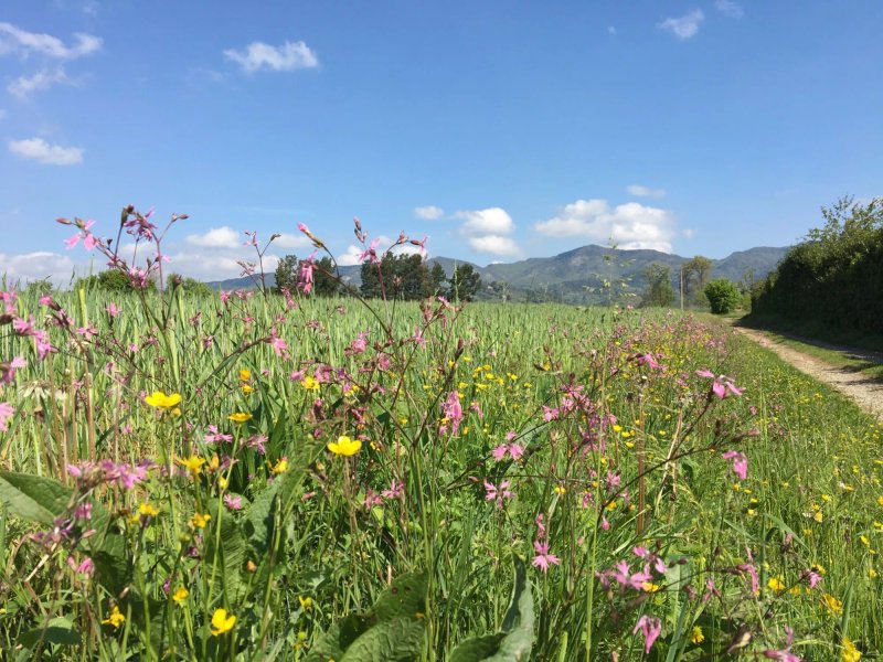 L'Orto sull'uscio B&B