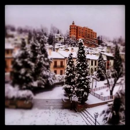 Campo de Principe