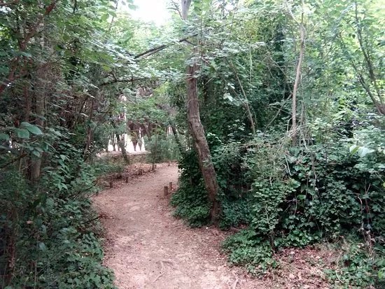 Masia d'en Cabanyes
