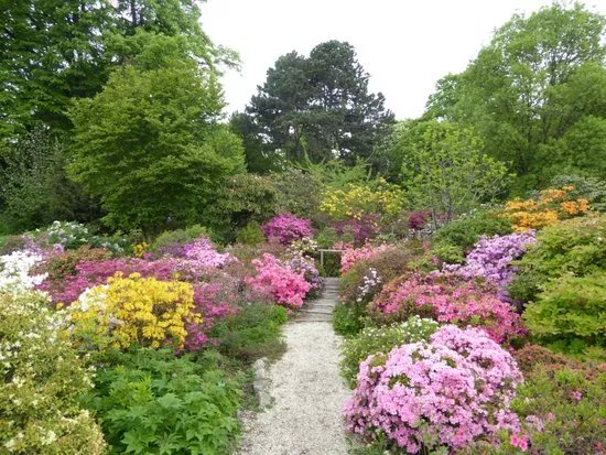 Botanischer Garten (Botanical Garden of the University of Vienna)
