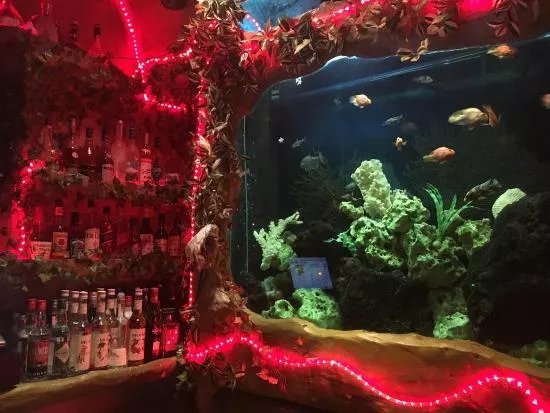 The Aviary Cave Bar