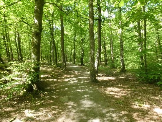 Guddehjalm Naturreservat