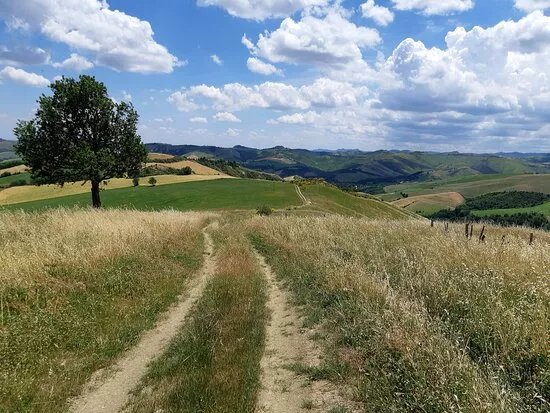 Il Cammino Di Sant'antonio