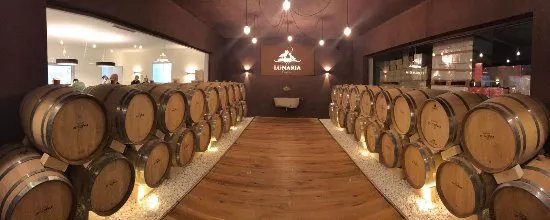 Cantina Orsogna