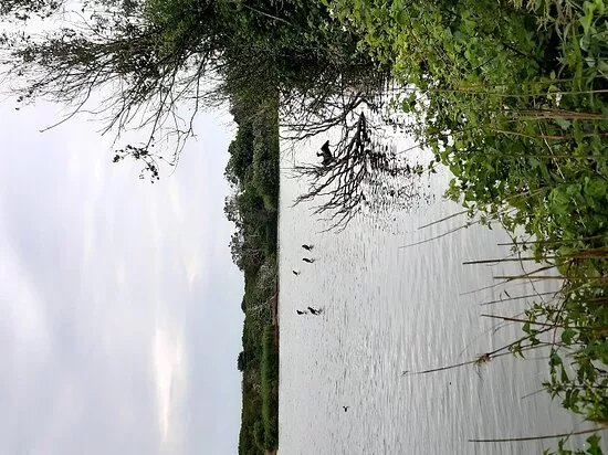 Duingebied Solleveld