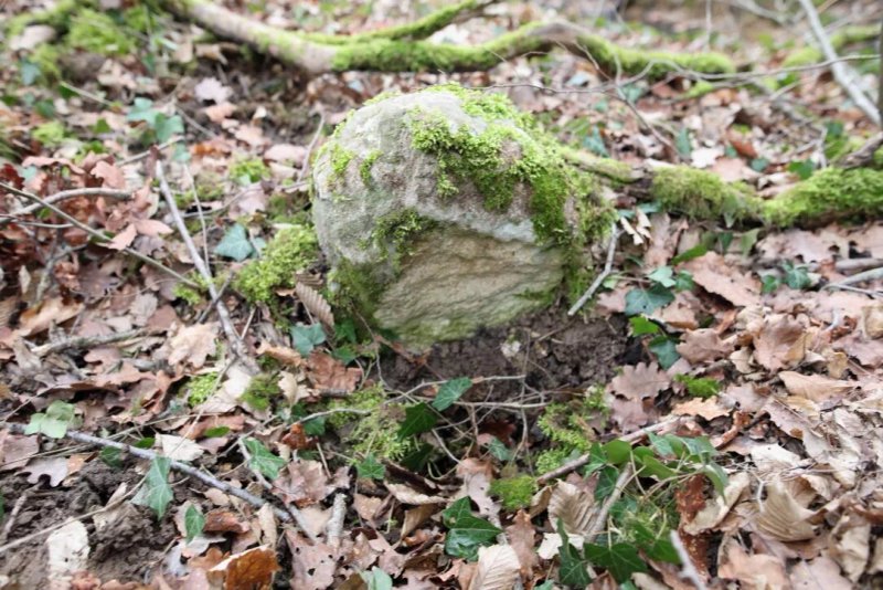 Borne Armoriee De Dracy-le-fort